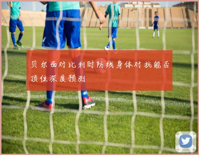贝尔面对比利时防线身体对抗能否顶住深度预测