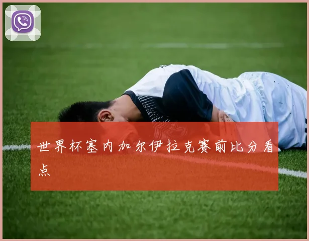 世界杯塞内加尔伊拉克赛前比分看点